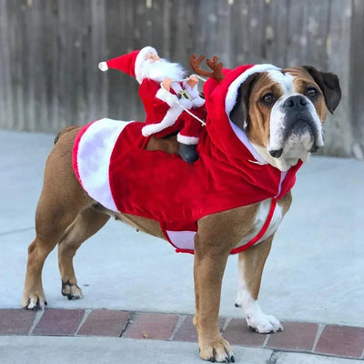 Christmas Costume Dogs | Santa Claus | Small Dogs | Dog Xmas Outfit | Dog Santa Costume-Grace Aura