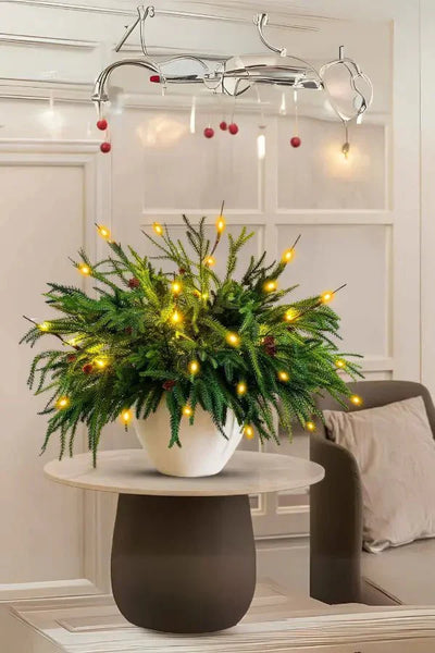 Christmas Potted Plant - Light-Up Artificial Pine Pot Xmas Table Decoration-Grace Aura